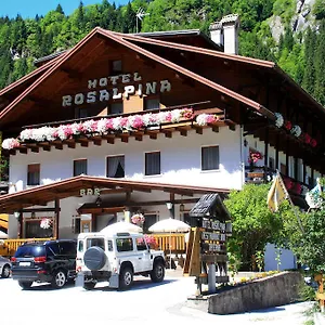 3* Отель Rosalpina